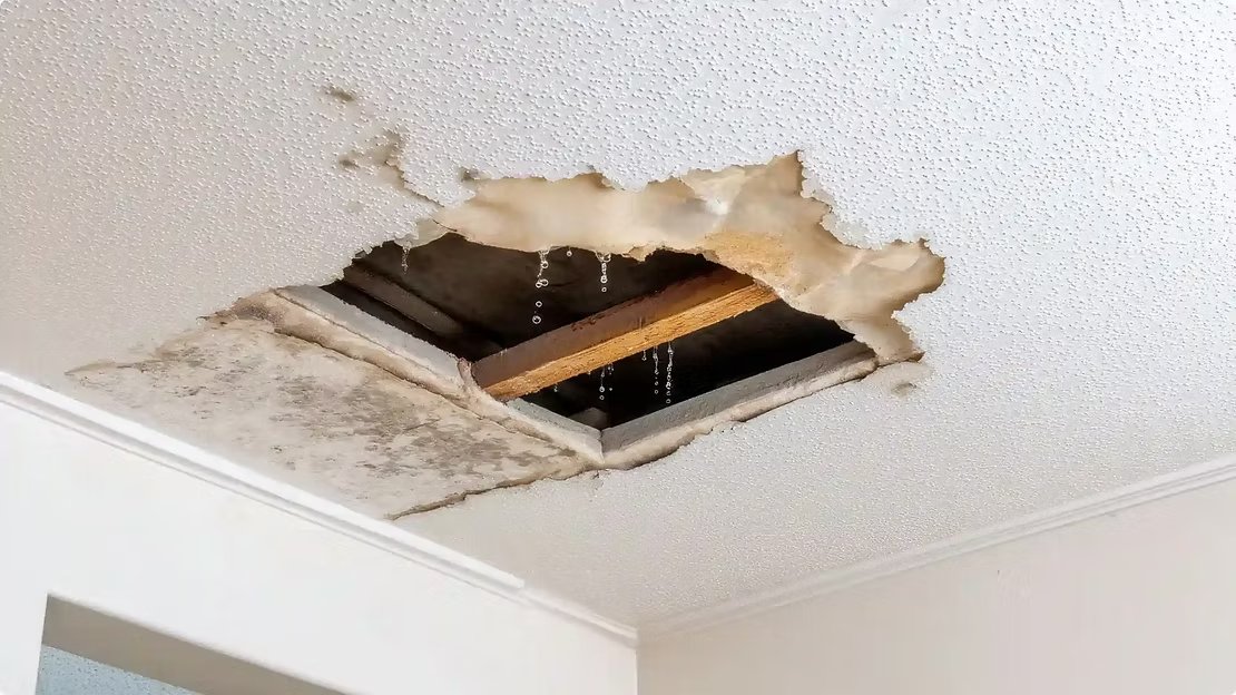 Water leaking through a damaged ceiling with exposed roof decking